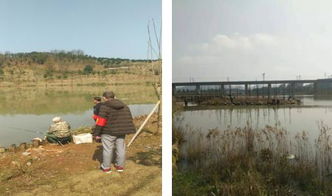 區畜牧局開展春季漁政巡查，保障畜牧漁業飼料銷售安全