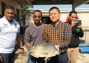 2019年海上絲綢之路國家水生動物健康管理及檢驗檢疫研修班項目圓滿落幕，成果豐碩助力畜牧漁業(yè)飼料銷售市場拓展